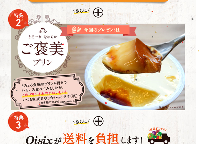 Oisix,オイシックス,メリット,デメリット,向いている人,食材宅配,オイシックスドット大地株式会社